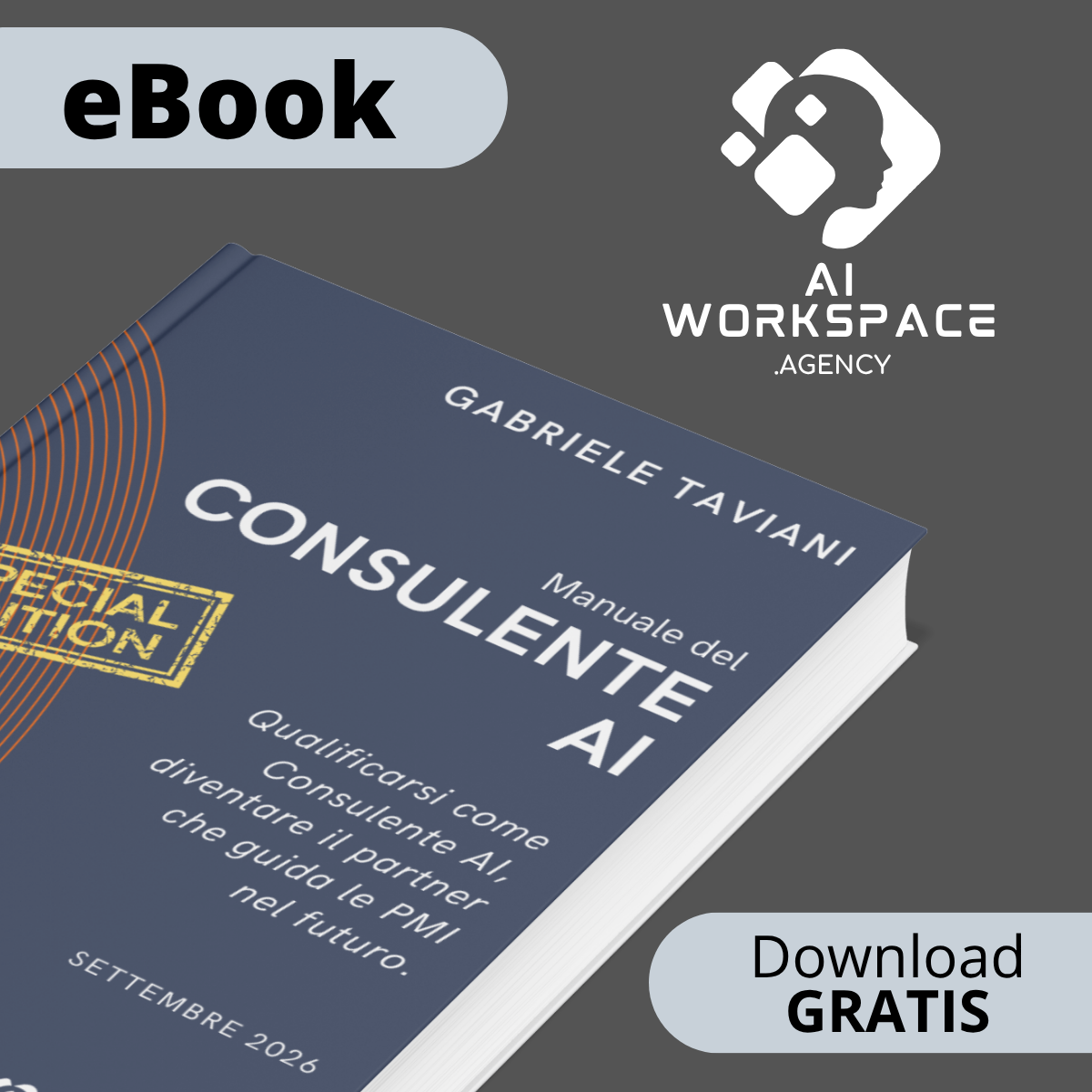 eBook The AI Consultant Handbook